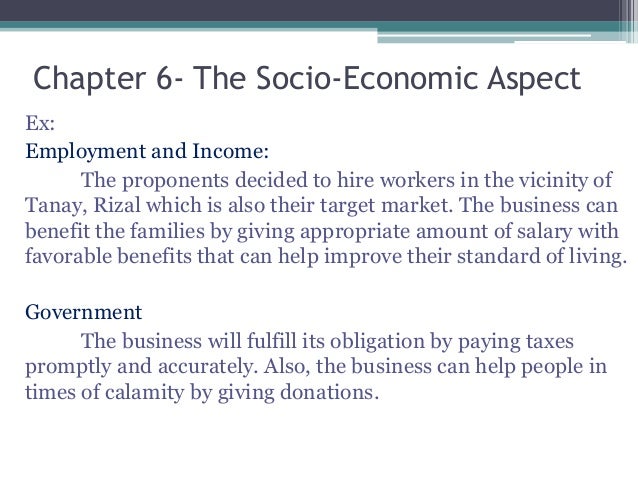 socioeconomic or socio economic socio economic characteristics business